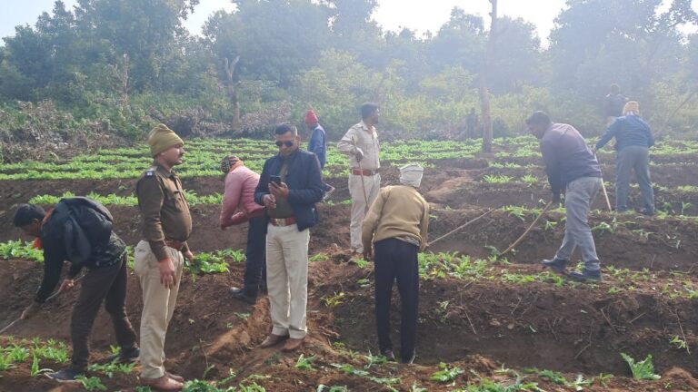 IMG_20241221_180823_929