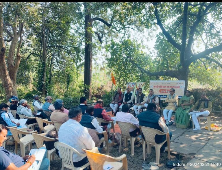 IMG_20241222_120403_998