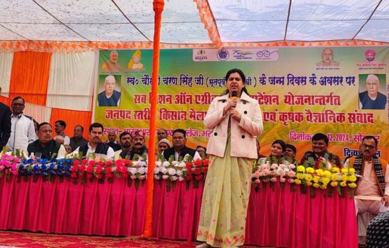 IMG_20241223_181527_916