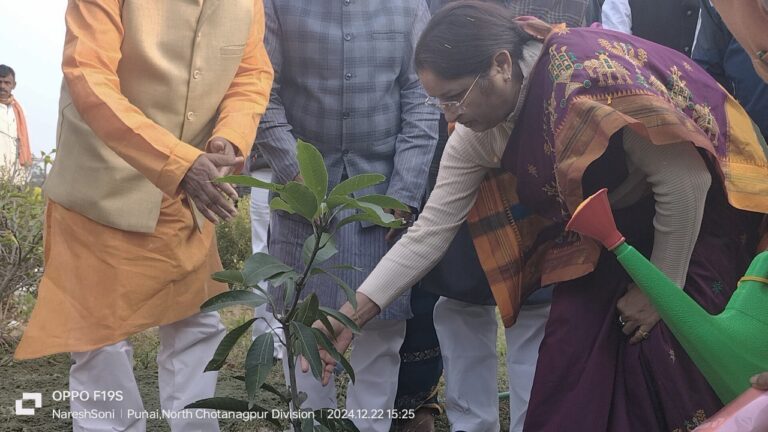 IMG_20241223_195221_041