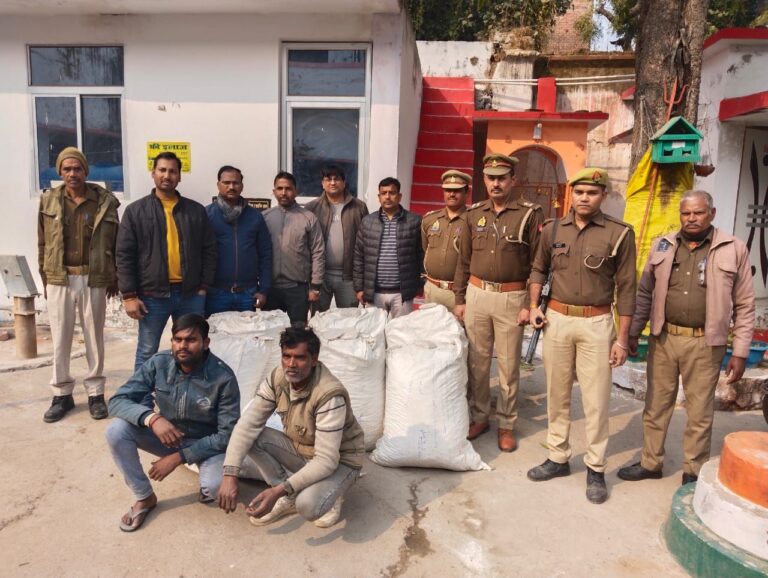 IMG_20241224_152109_572