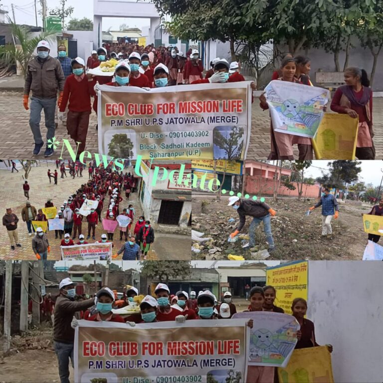 IMG_20241224_204316_973