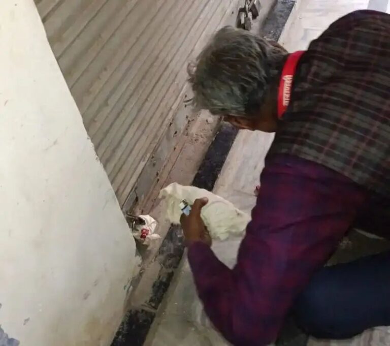 IMG_20241225_142720_988