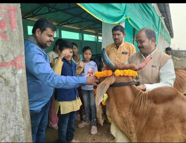 IMG_20241225_144630_905