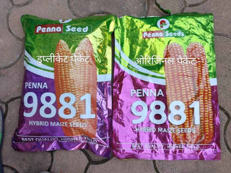 IMG_20241226_082926_515