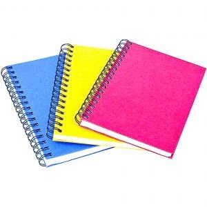 IMG_20241226_100908_964