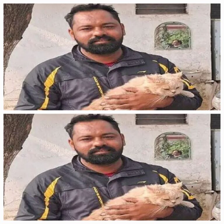 IMG_20241226_160506_808