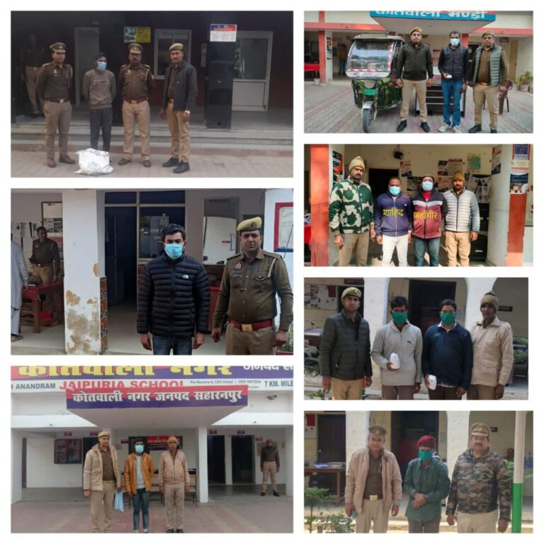 IMG_20241226_203430_099