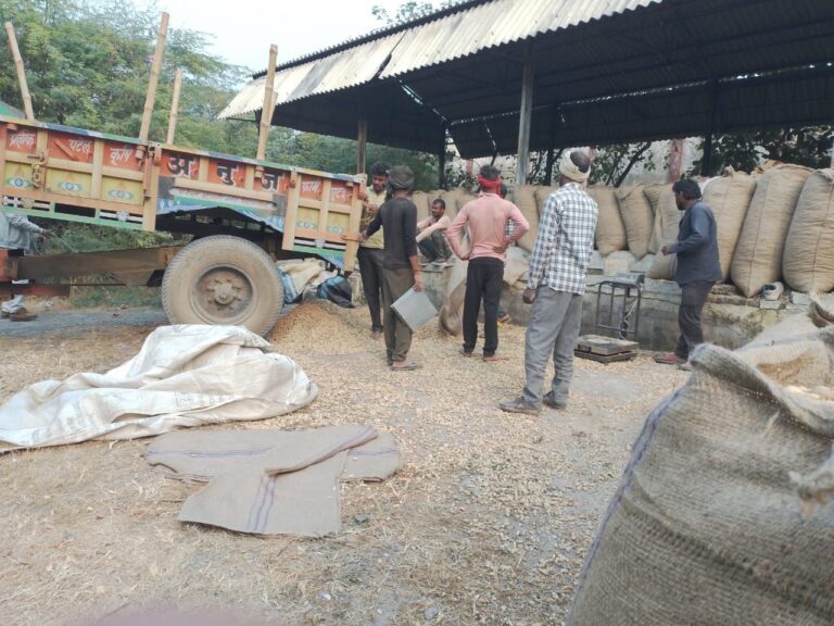 IMG_20241226_204937_227