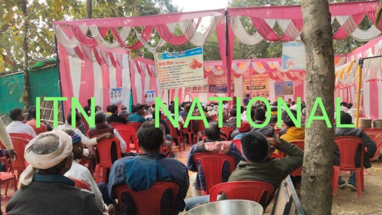 IMG_20241226_205915_019