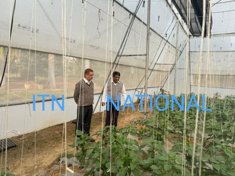 IMG_20241226_205918_385