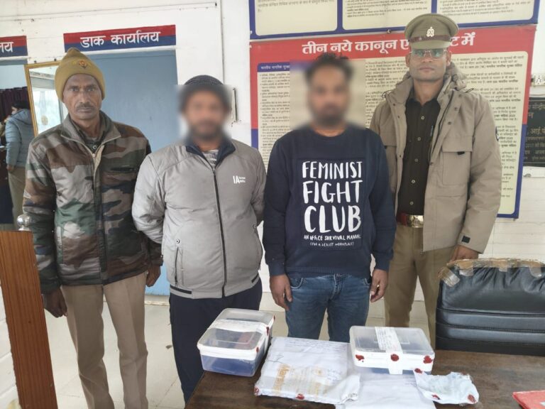 IMG_20241227_181810_029