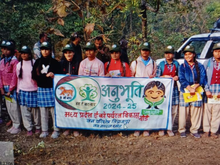 IMG_20241227_204827_565