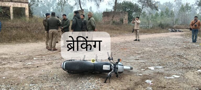 IMG_20241230_150731_335