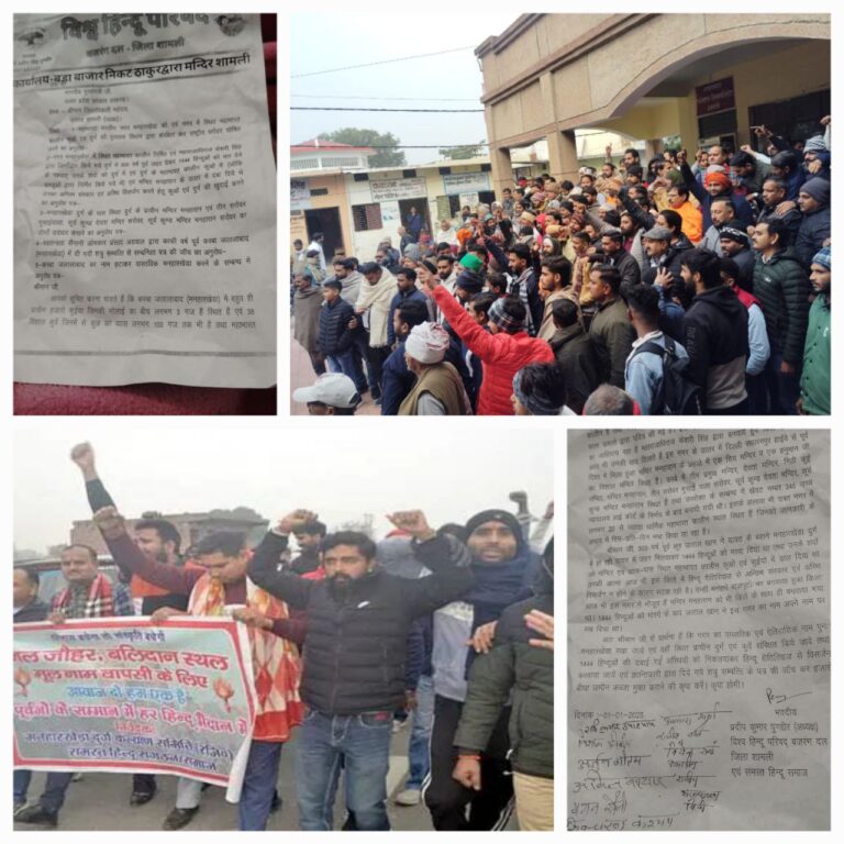 IMG_20250103_113322_041