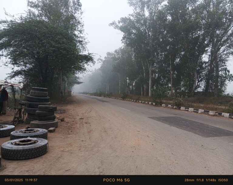 IMG_20250103_113900_387