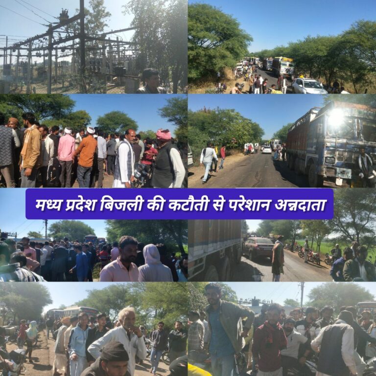 IMG_20250103_202027_531