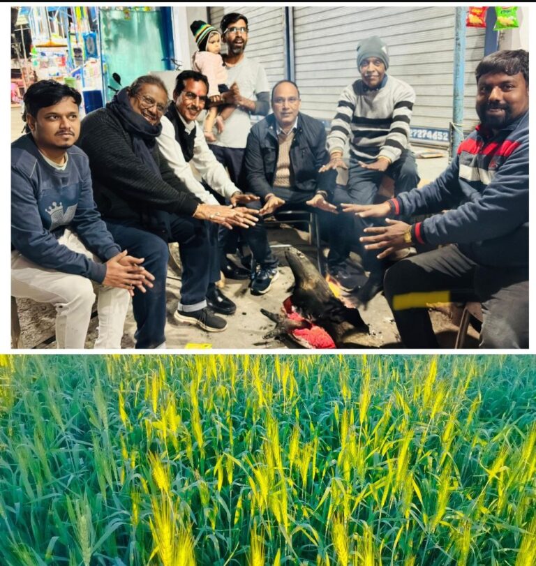 IMG_20250105_134504_252