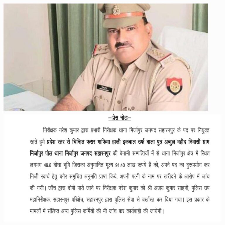 IMG_20250111_182513_994