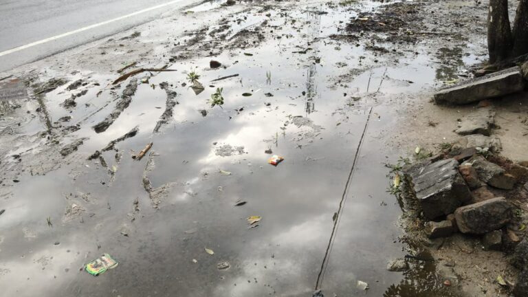 IMG_20250113_150359_173