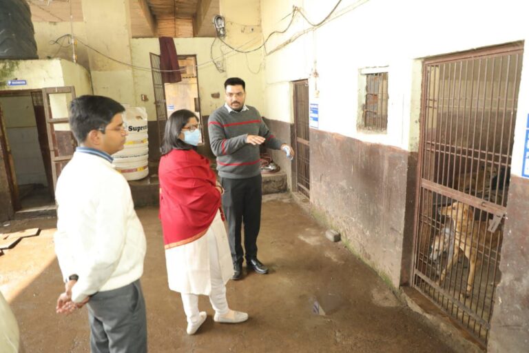 IMG_20250114_200135_419