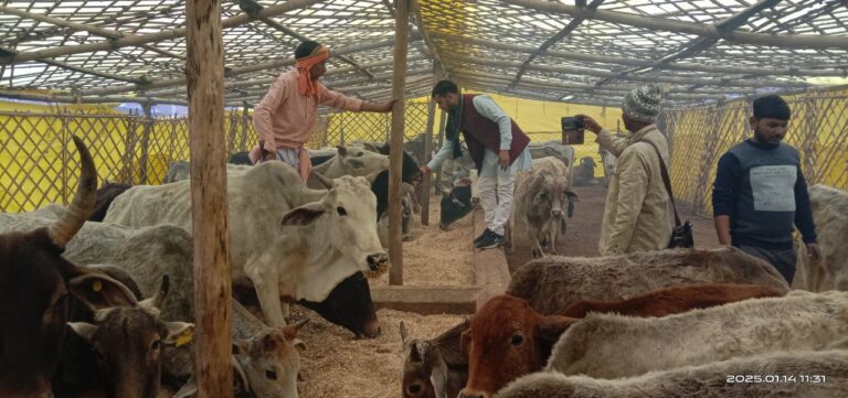 IMG_20250115_125227_825