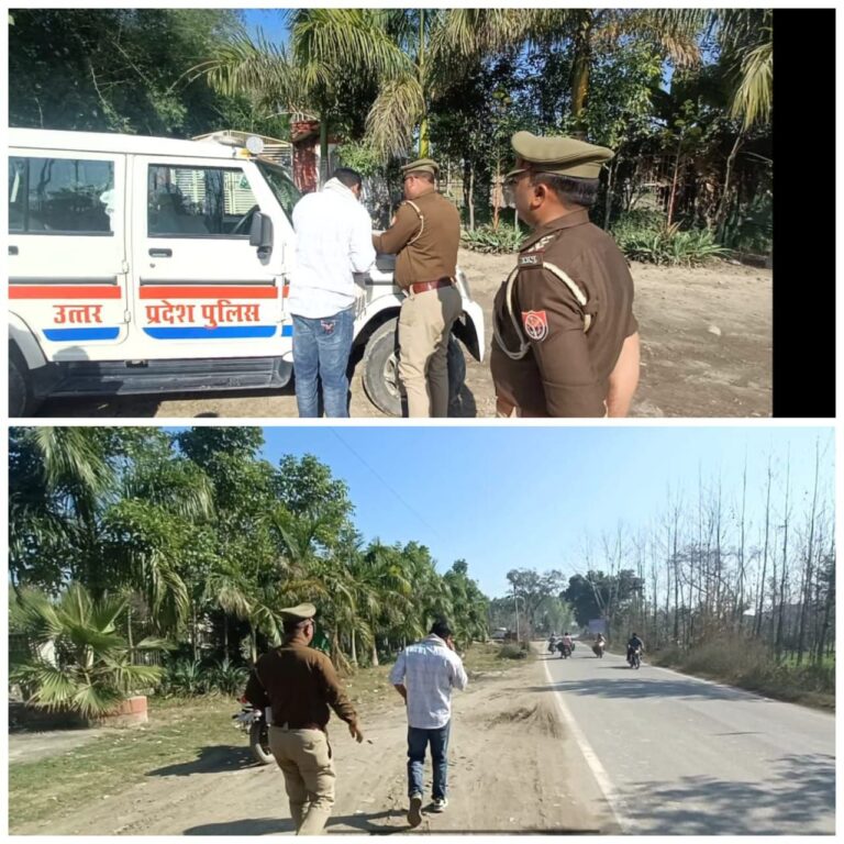 IMG_20250117_184316_615