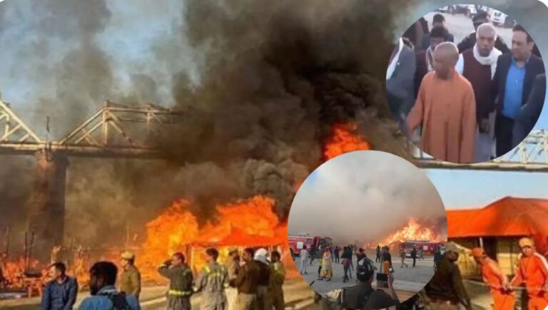 IMG_20250119_190206_434