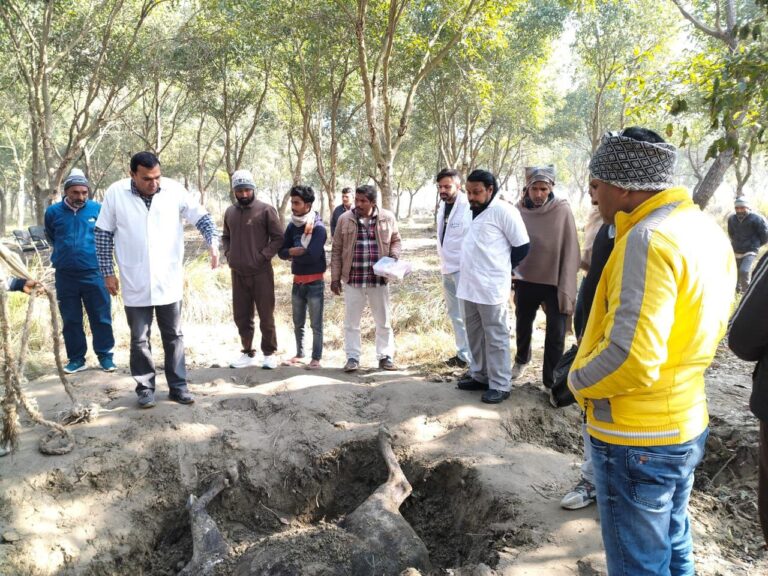 IMG_20250119_190651_904