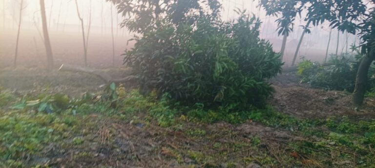 IMG_20250120_130724_618