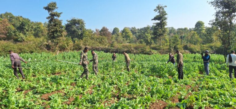 IMG_20250120_194139_206