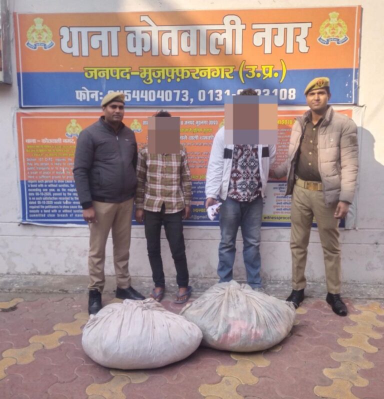 IMG_20250125_125720_068