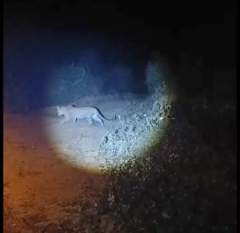 IMG_20250125_202221_642