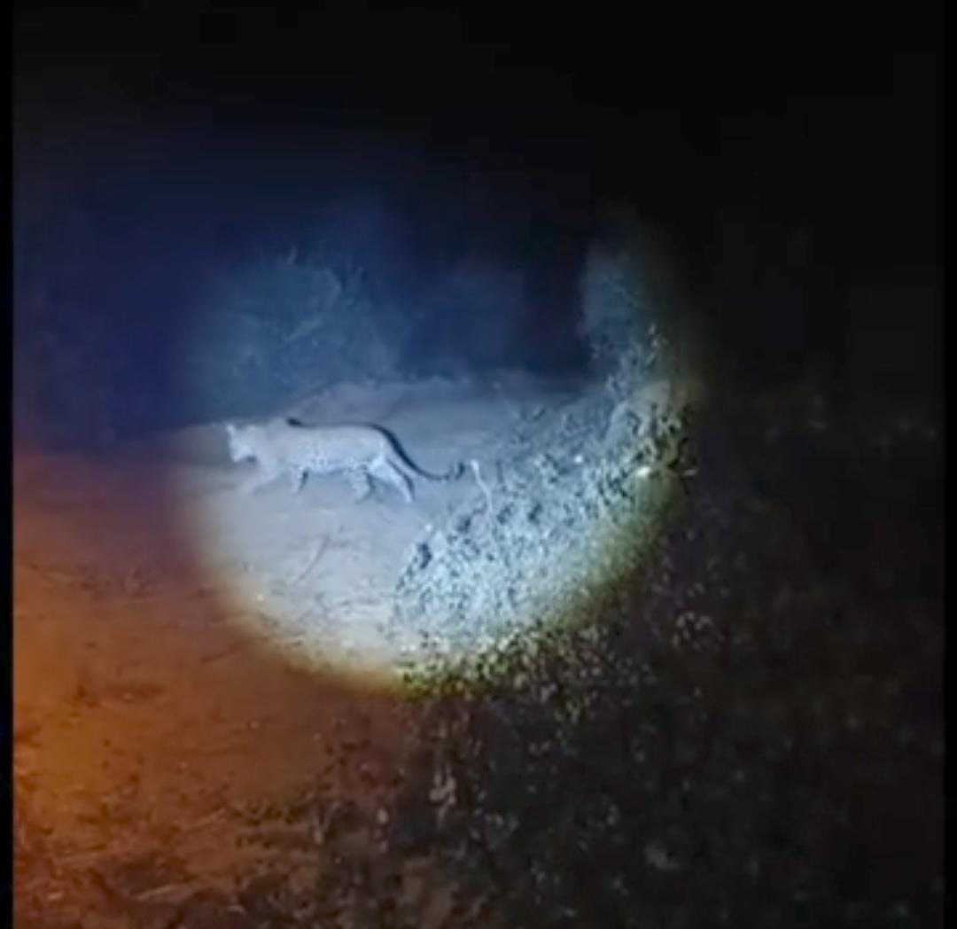 IMG_20250125_202221_642