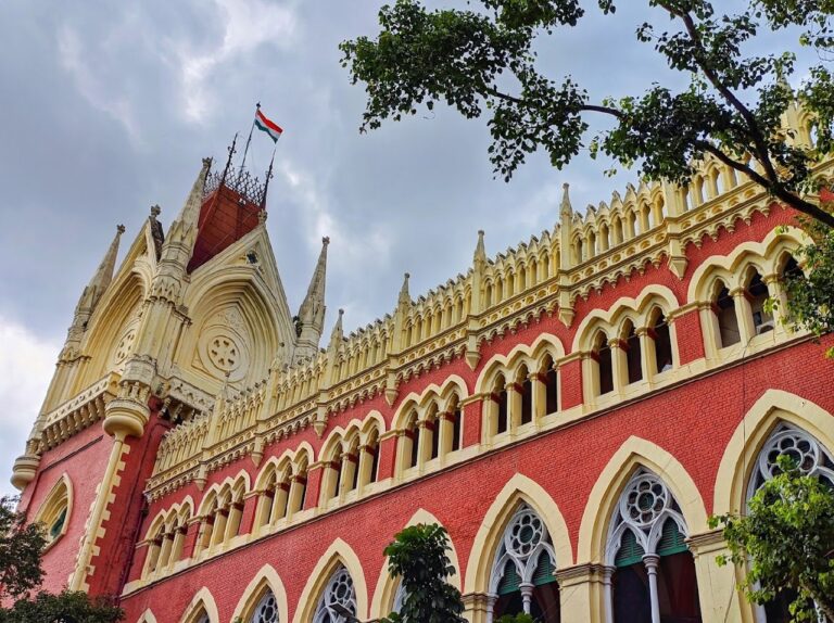 IMG_20250130_145537_753