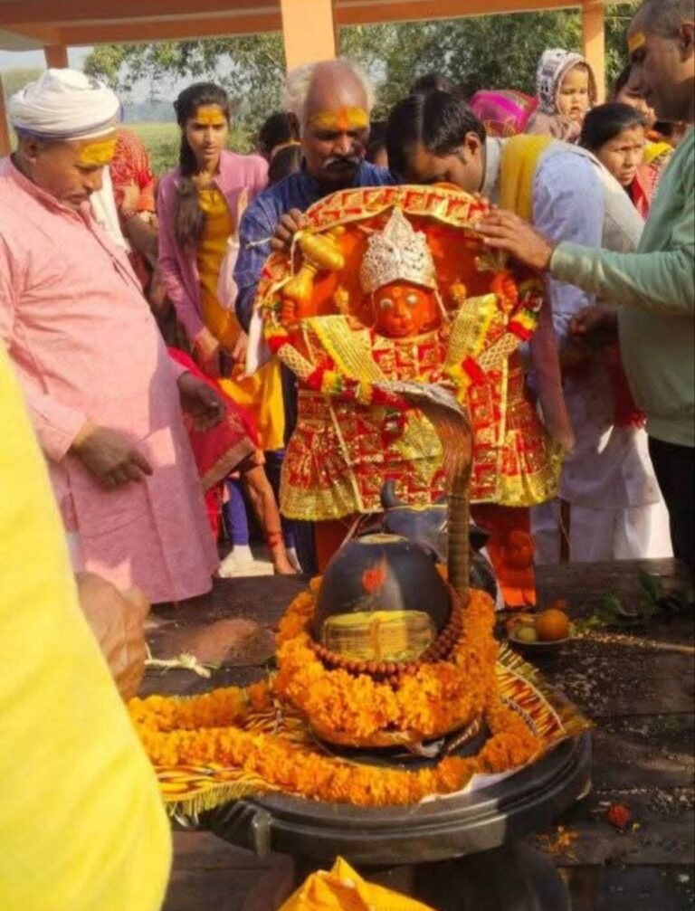 IMG_20250131_092728_693