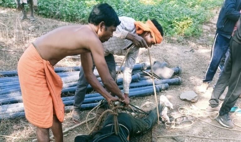 IMG_20250131_094034_484