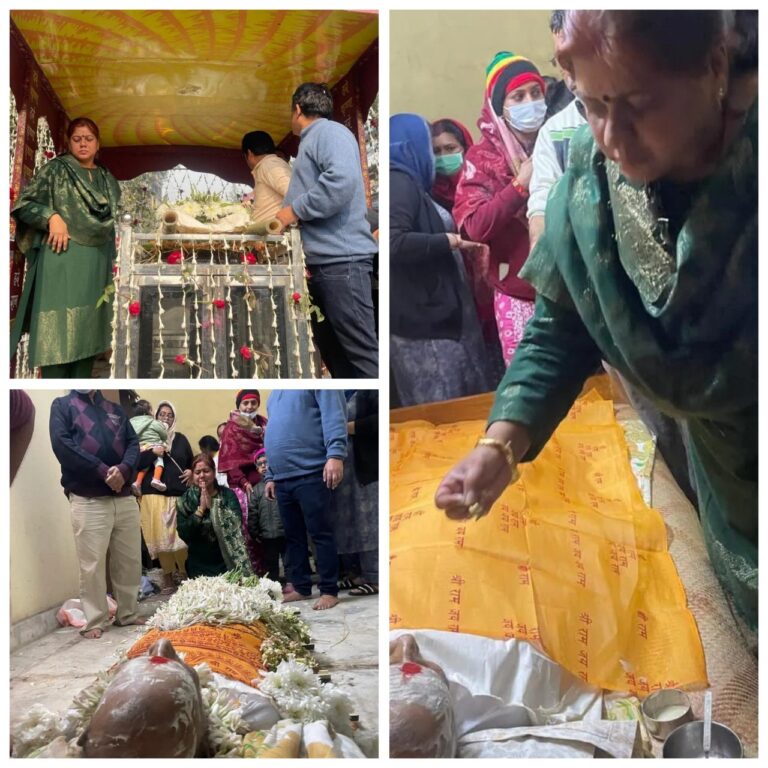 IMG_20250131_095045_510