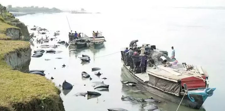 IMG_20250131_144512_244