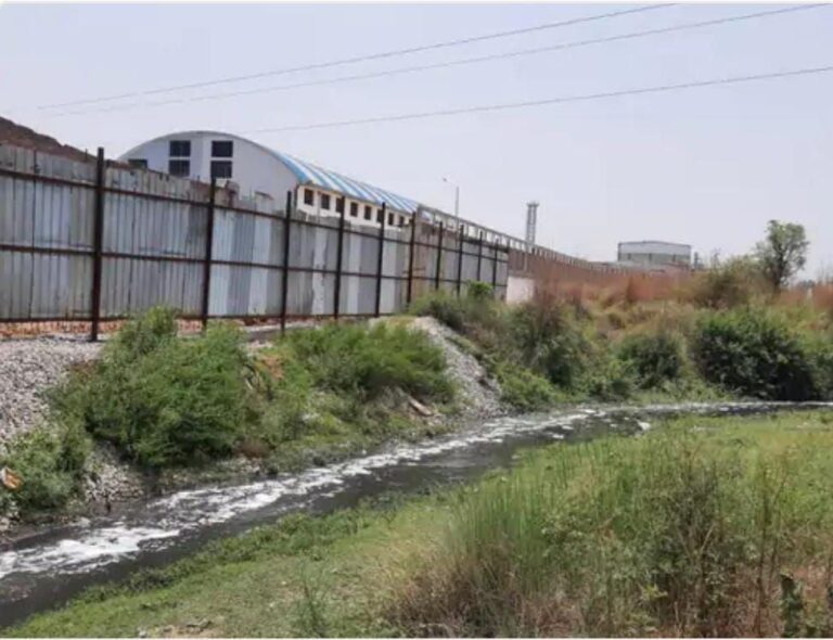 IMG_20250131_144711_452