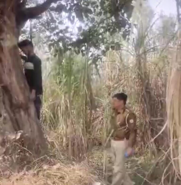 IMG_20250131_144719_394