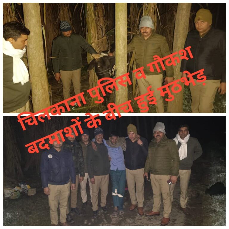 IMG_20250201_124605_002