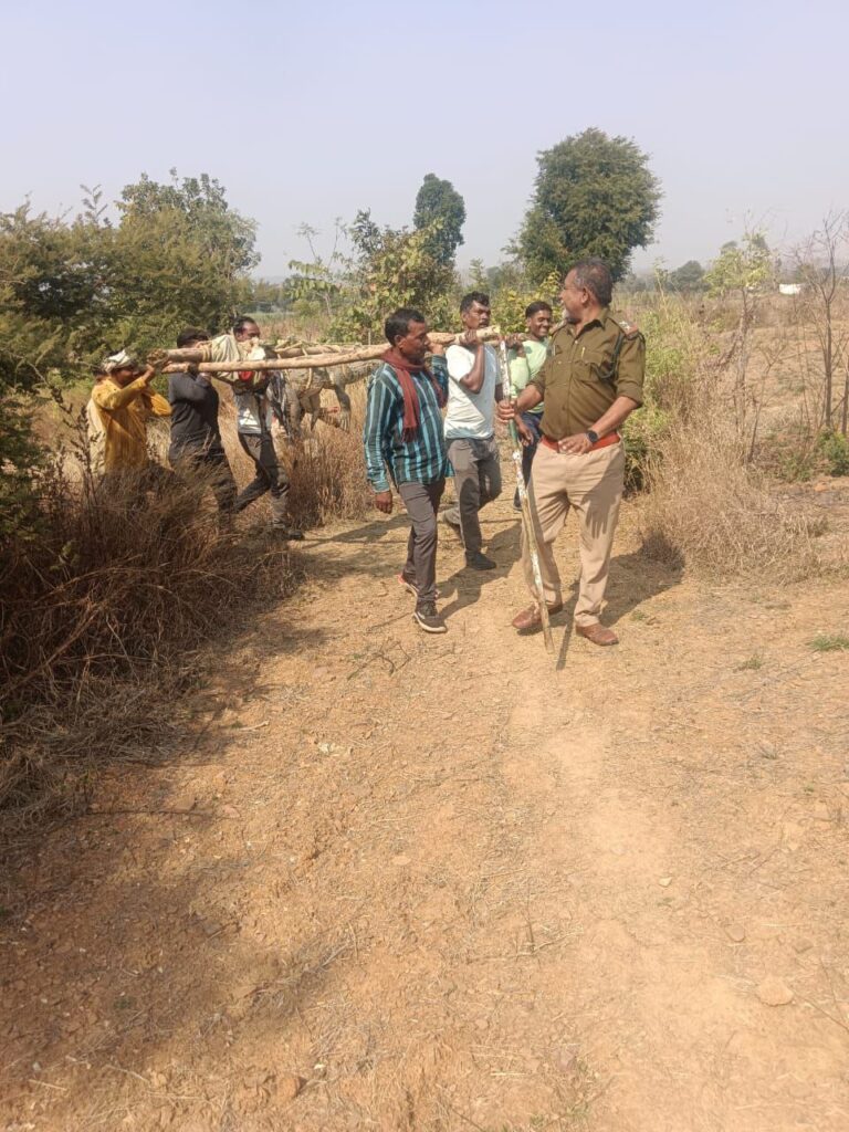 IMG_20250203_194459_410