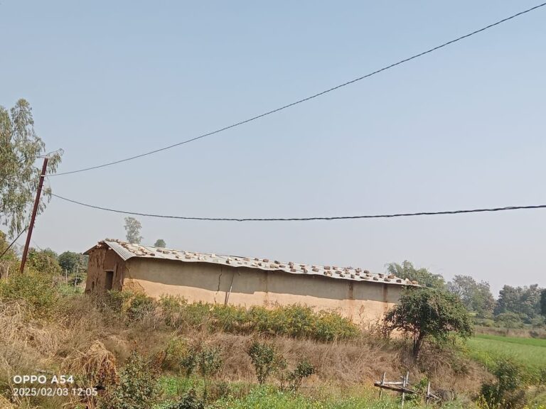 IMG_20250204_191517_467