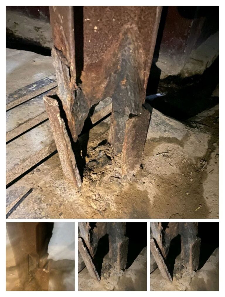 IMG_20250205_142638_079