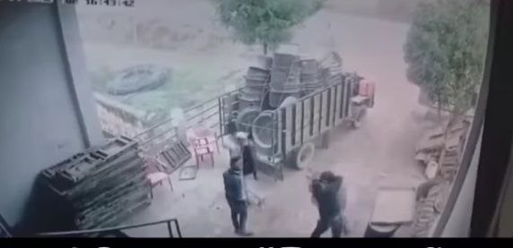 IMG_20250205_143400_961