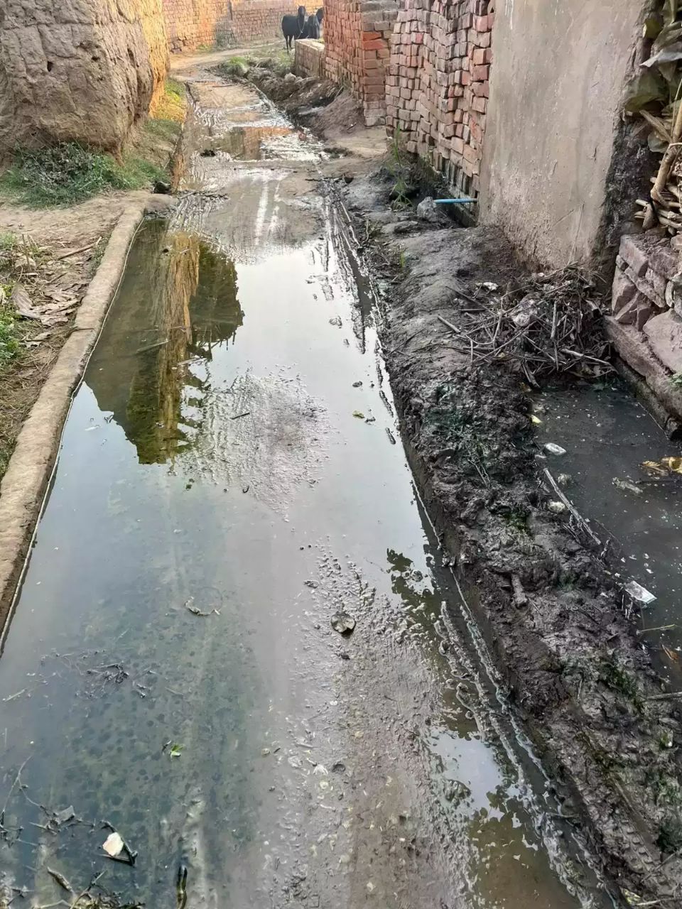 IMG_20250205_143451_815