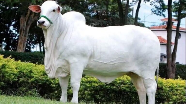 IMG_20250205_161037_420