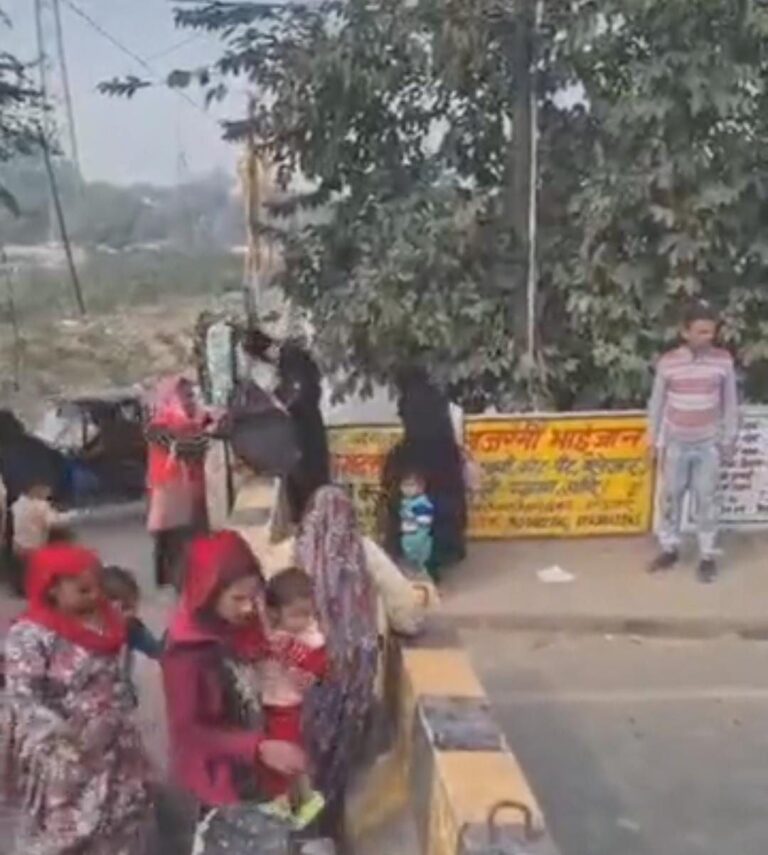 IMG_20250205_195710_099