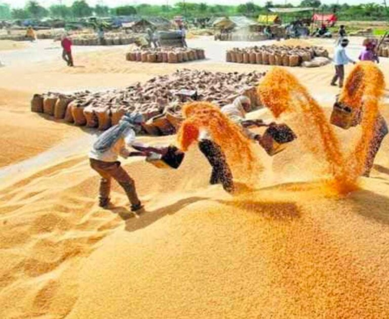 IMG_20250205_215845_522